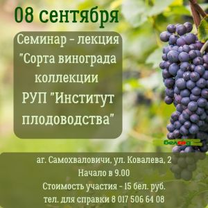 seminar vinograd 2