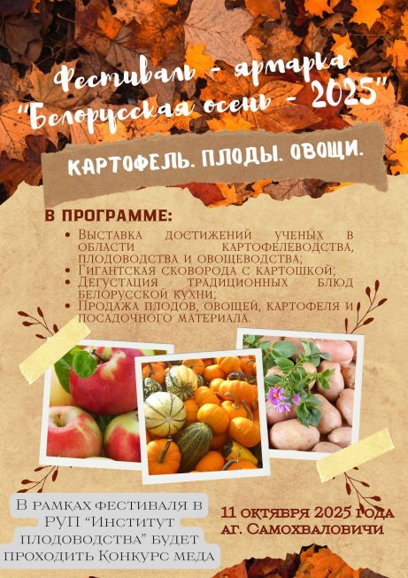 fest