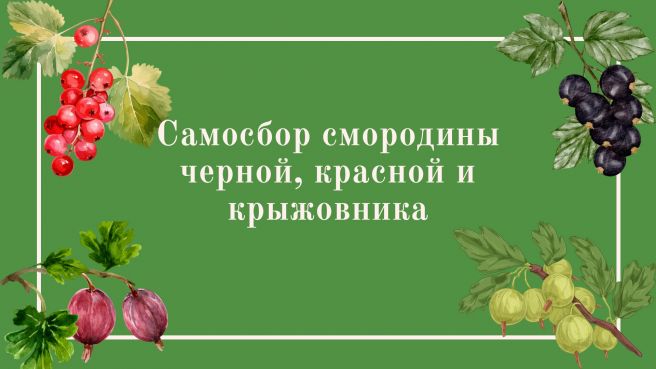 2026-07-20 09-18-47-195