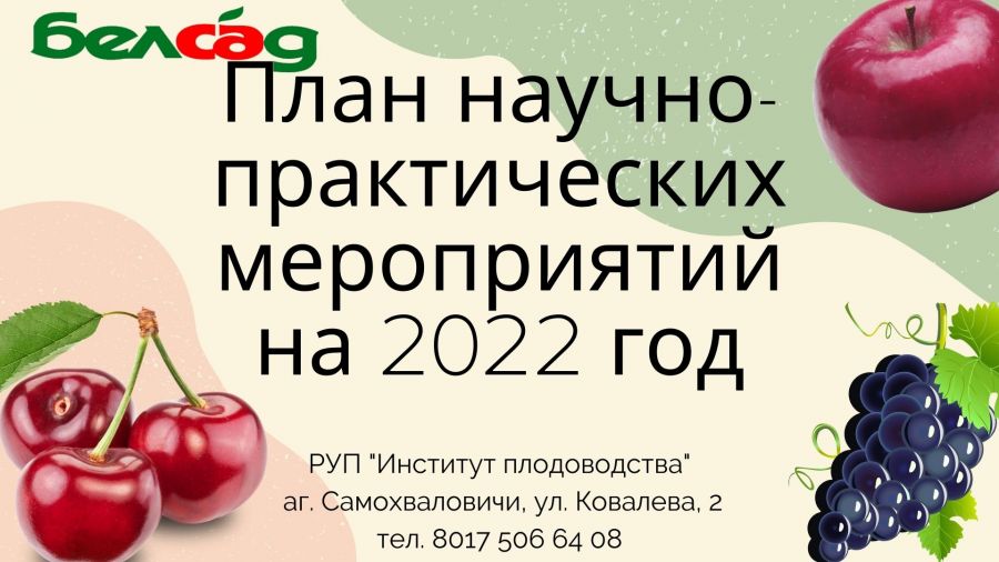 PLAN_2022.jpg