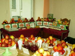 День Белорусской науки 2008