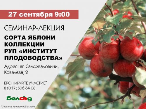 Семинар